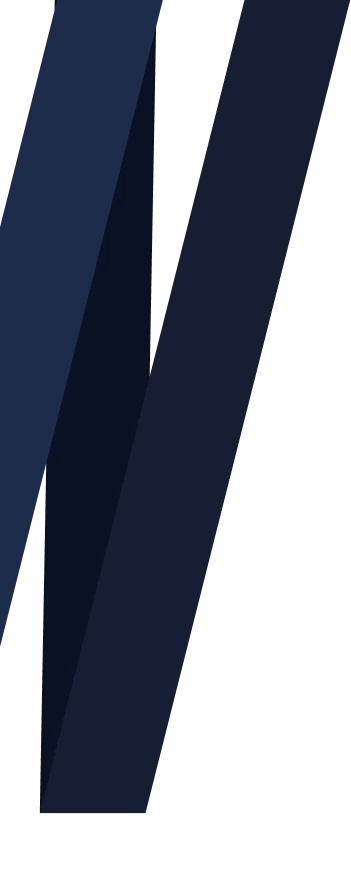 Web Tasarım Web Tasarım